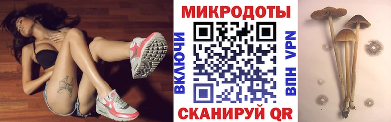 мега   Вытегра  Галлюциногенные грибы мицелий  продажа наркотиков 